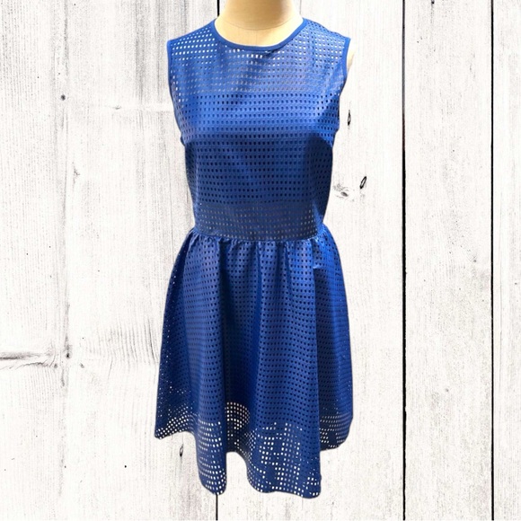 NWT Sandro Sleeveless Dress with Mesh Attached Slip